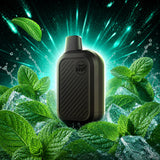 Flavour Beast SIX 24K Disposable Vape