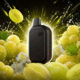 Flavour Beast SIX 24K Disposable Vape