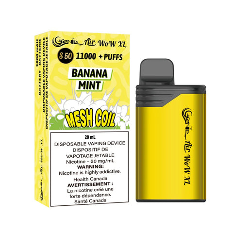 GENIE AIR WOW XL 11000 PUFFS
