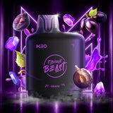 Level X Flavour Beast M30 120K Pods
