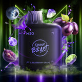 Level X Flavour Beast M30 120K Pods