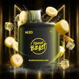 Level X Flavour Beast M30 120K Pods