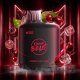 Level X Flavour Beast M30 120K Pods