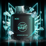 Level X Flavour Beast M30 120K Pods