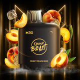 Level X Flavour Beast M30 120K Pods