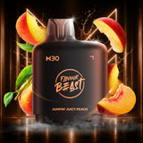 Level X Flavour Beast M30 120K Pods
