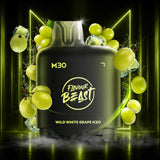 Level X Flavour Beast M30 120K Pods