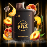 Level X Flavour Beast M40 160K Pods