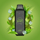 Flavour Beast Flow 5000