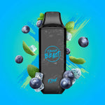 Flavour Beast Flow 5000