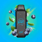 Flavour Beast Flow 5000