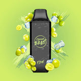 Flavour Beast Flow 5000