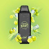 Flavour Beast Flow 5000